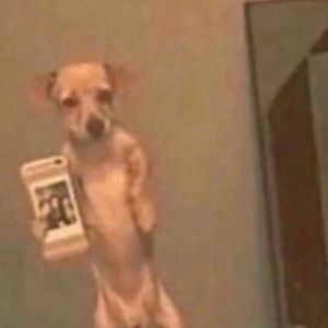 Meet your Posher, Kiya